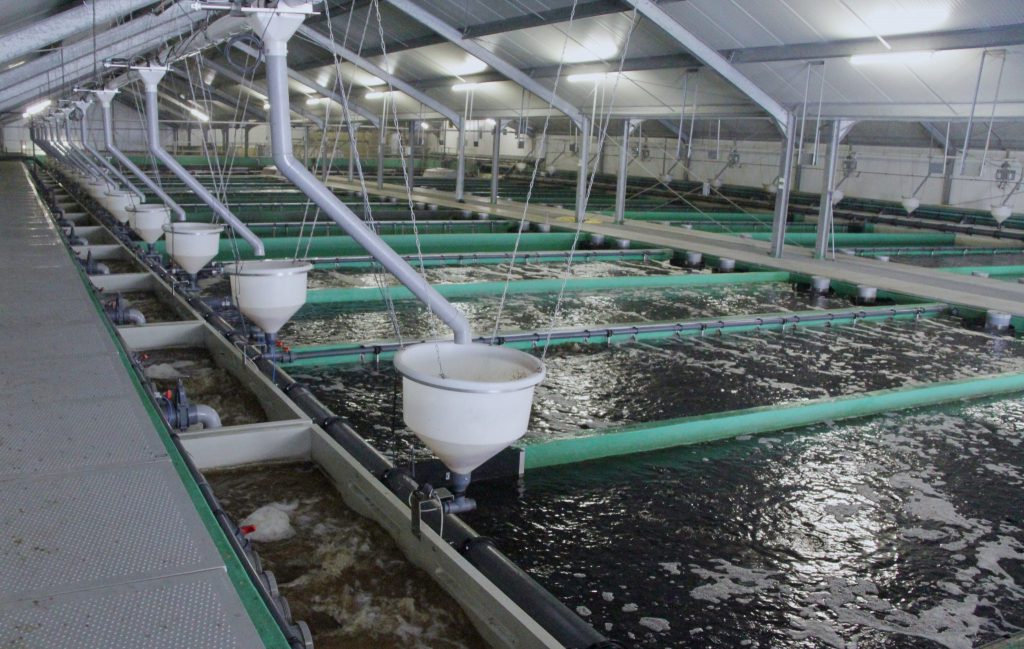 rok knijpen Hertog Holland Aqua - Dutch Aquaculture Experts